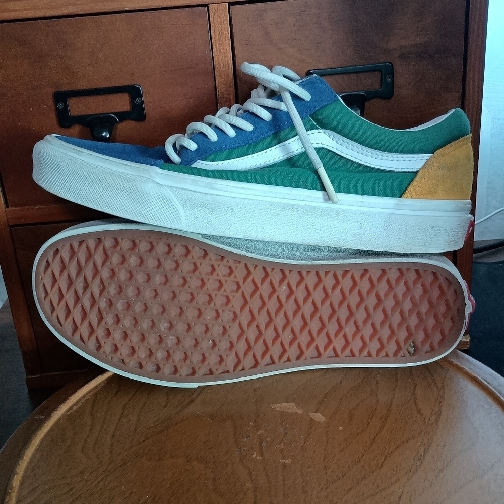Vans Multicolor Skate Shoes_8